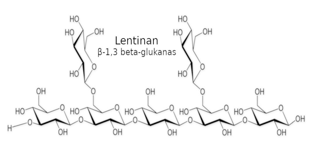 shiitake ekstraktas Lentinan